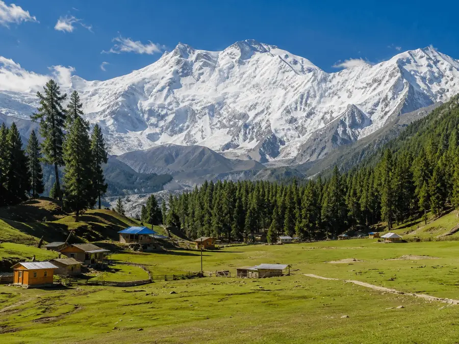 FAIRY MEADOWS